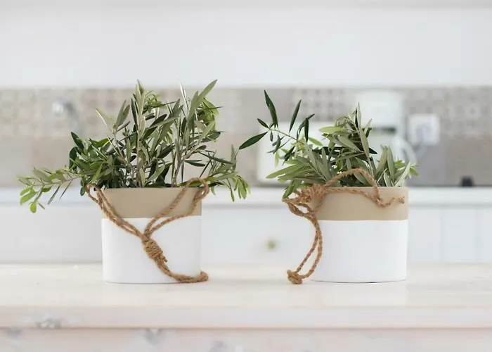 Bella Vista 아파트