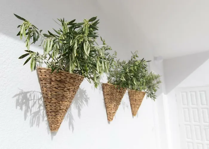 아파트 Bella Vista *